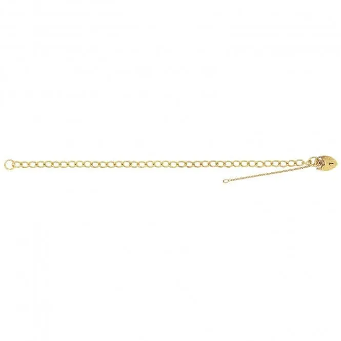 9ct Yellow Gold Ladies Charm Bracelet BR102