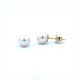 Beeghly & Co. Yellow Gold Timeless Pearl Earrings BCE-AS-6.5PW