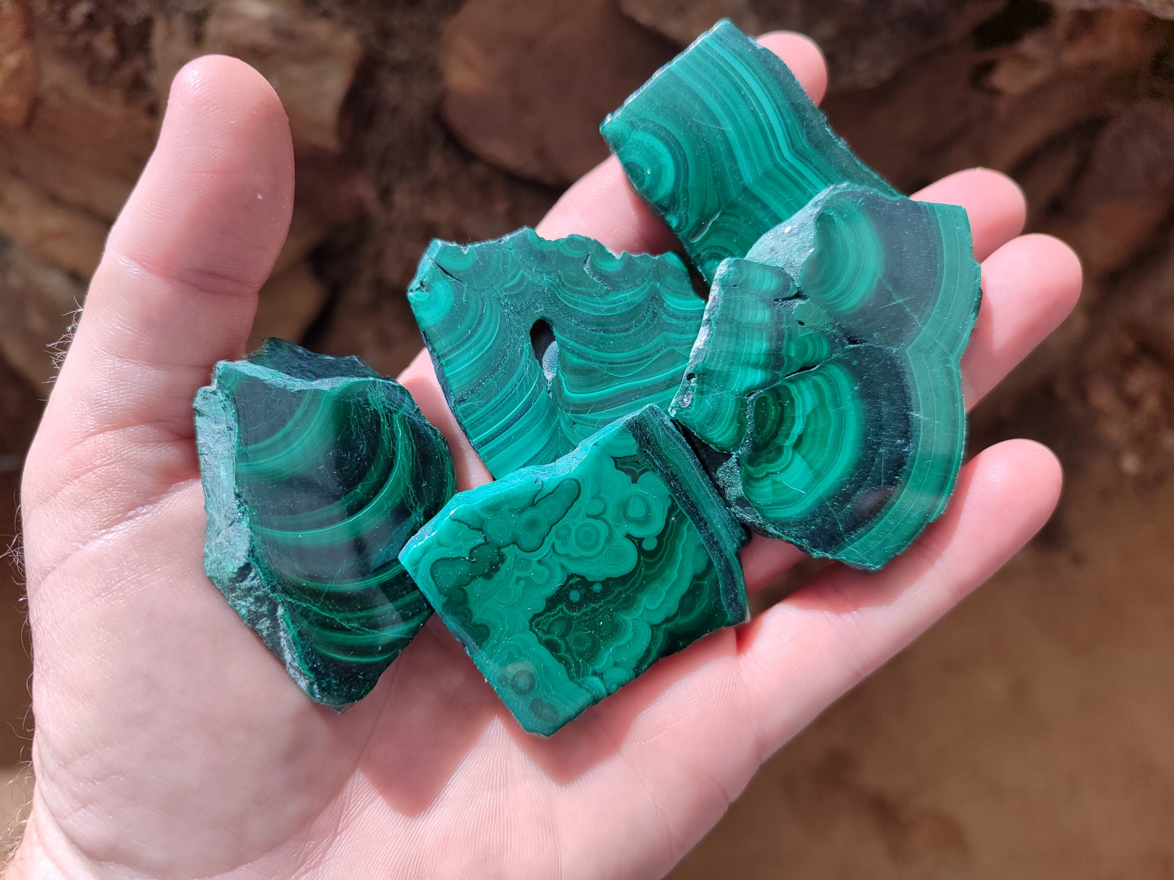 Polished Flower Banded Malachite Slices x 24 From Congo