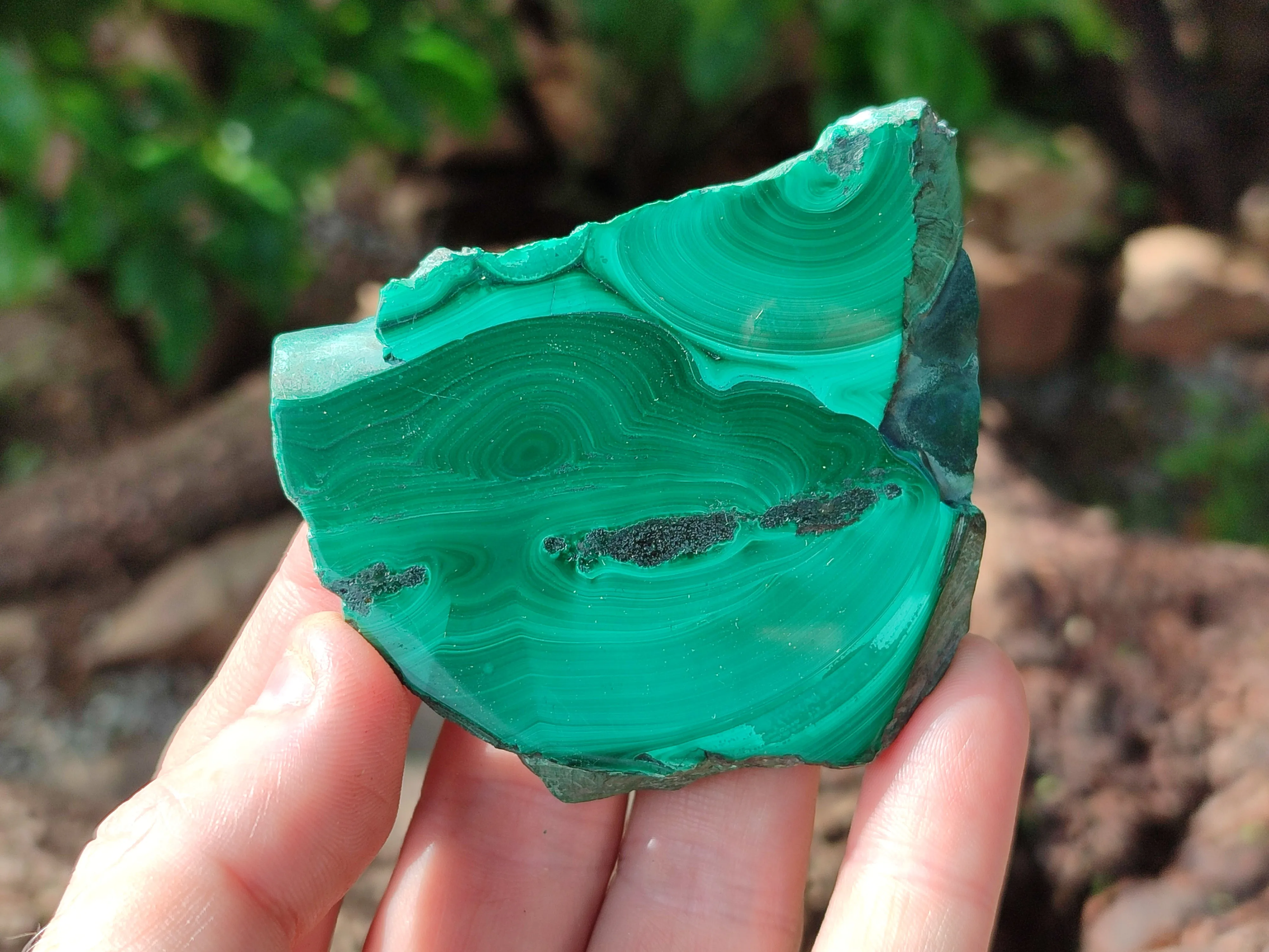 Polished Flower Banded Malachite Slices x 24 From Congo