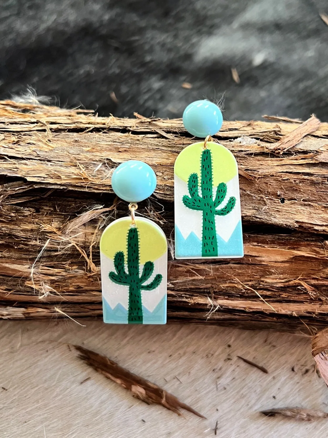 Stuck In the Desert Earrings