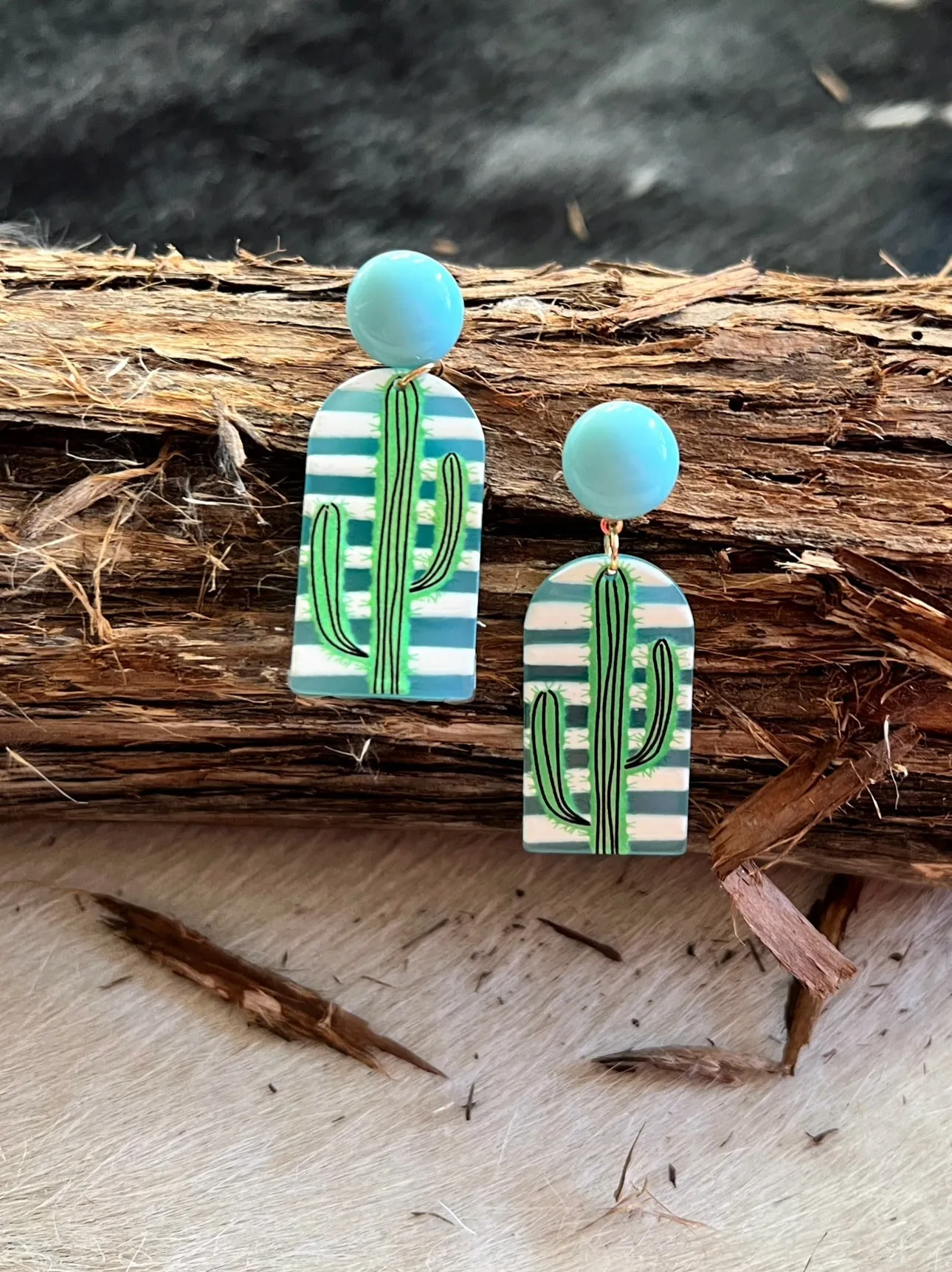 Stuck In the Desert Earrings