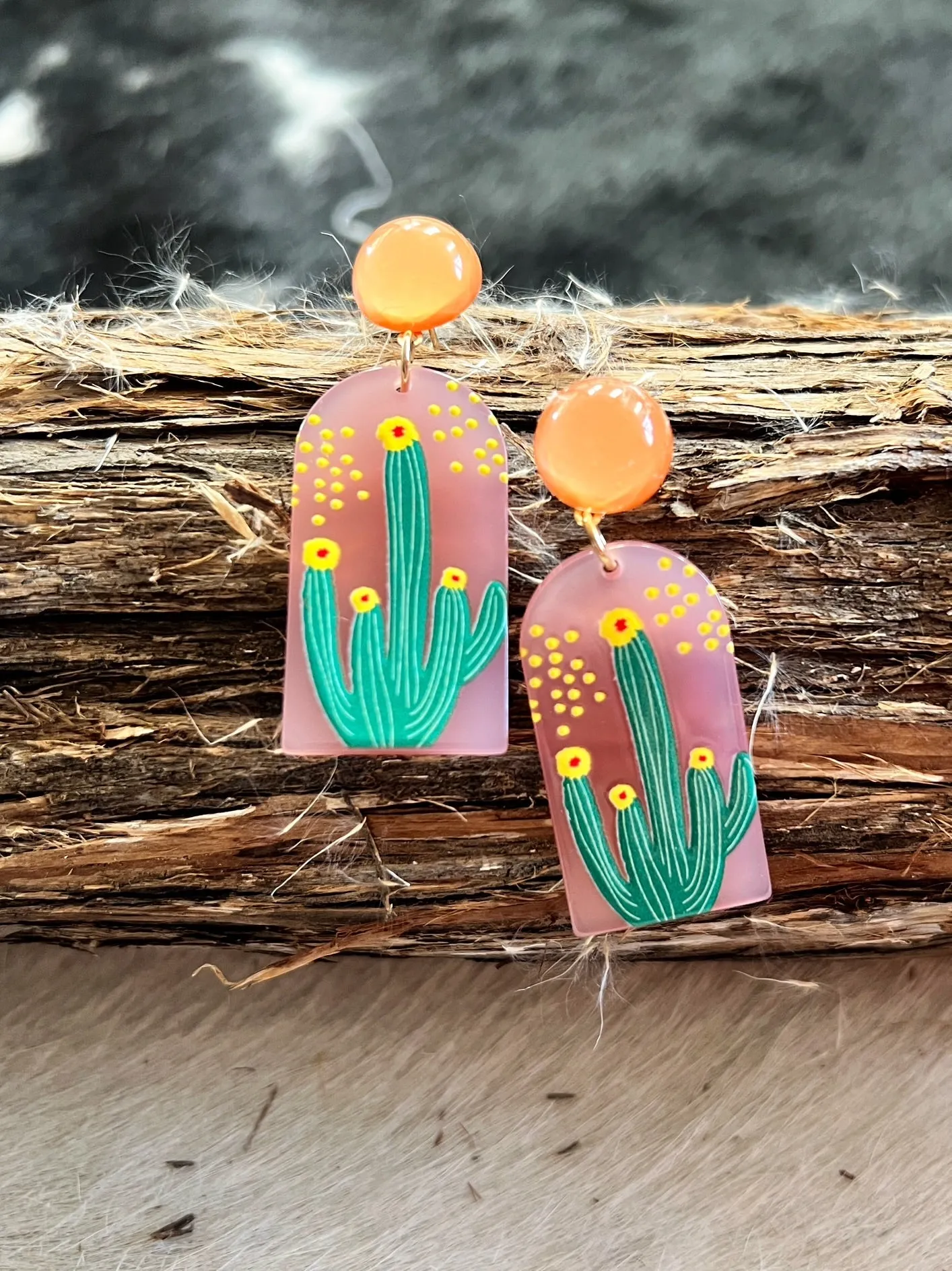 Stuck In the Desert Earrings