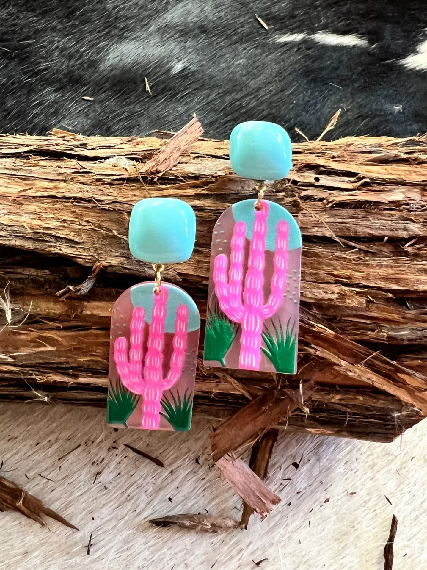 Stuck In the Desert Earrings